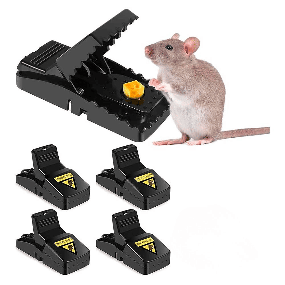 Pack trampa ratón